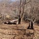 Parcela Pucon - caburgua