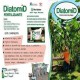 FERTILIZANTE MINERAL DIATOMID Tierra de Diatomeas - Diatomita