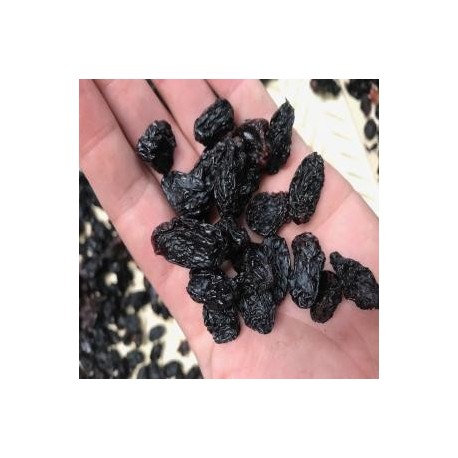 Pasas Black Jumbo