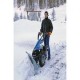 MOTOCULTOR NIEVE