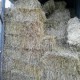 Fardos Avena Vicia
