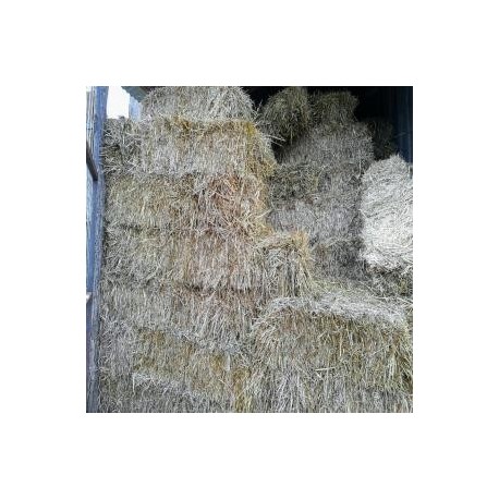 Fardos Avena Vicia