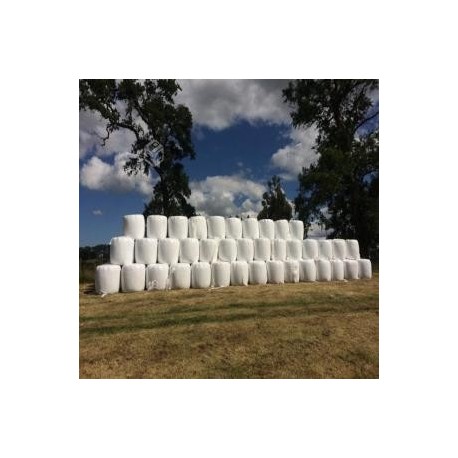 Bolos/Silos