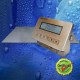Balanza Plataforma Full Acero Inoxidable