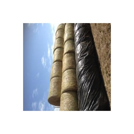 Silos/Bolos