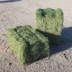 Venta de Alfalfa