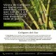 coligues insumos