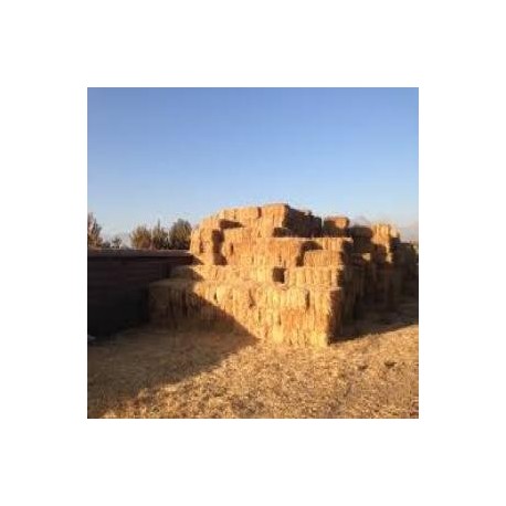 Fardos de Trigo