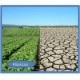 Biopoliagua Insoluble Polímero Retenedor de Agua