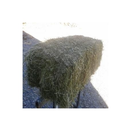 SE VENDEN FARDOS DE ALFALA, 2° CORTE