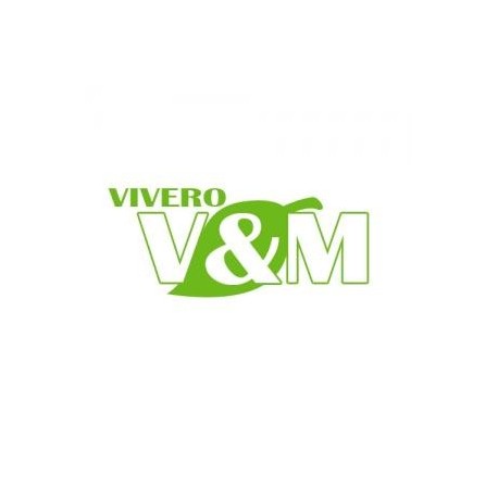 VENTAS DE PLANTAS FRUTALES Y ORNAMENTAL