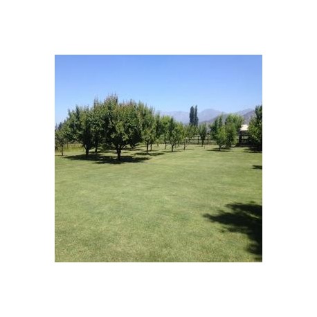 Parcela