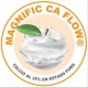MAGNIFIC CA FLOW