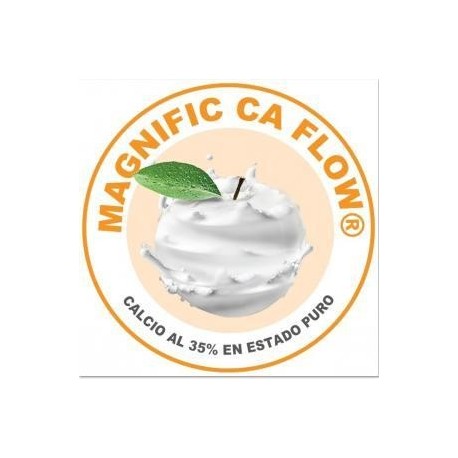 MAGNIFIC CA FLOW