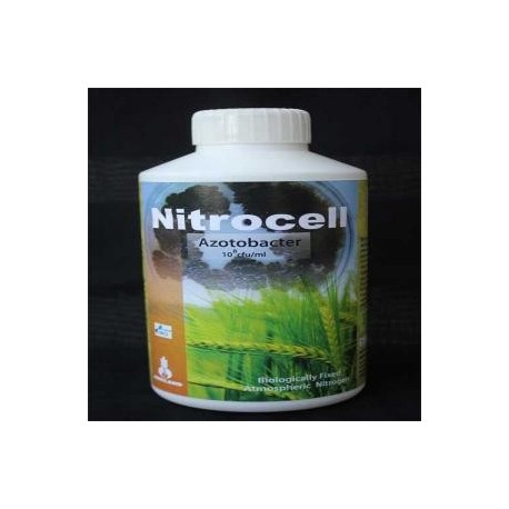 Biofertilizante-bacterias fijadoras de nitrógeno