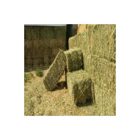 Venta Fardos Alfalfa