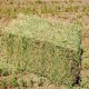Alfalfa en fardos 35 kilos