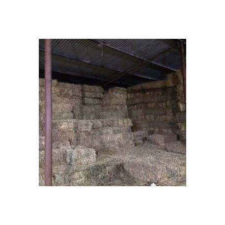 Fardos de Alfalfa