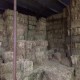 Fardos de Alfalfa