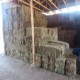 VENTA DE FARDOS DE ALFALFA