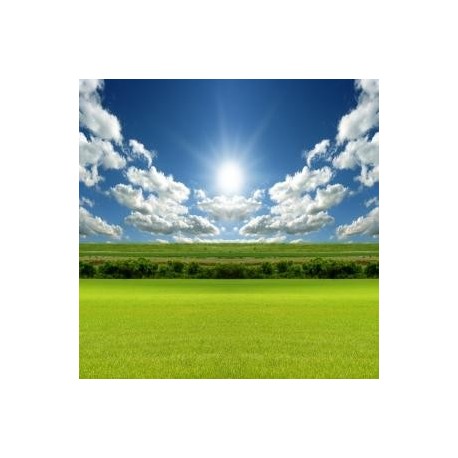 COMPRA VENTA Y ARRIENDO DE PROPIEDADES AGRICOLAS