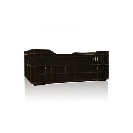 Cajas plásticas cosecheras