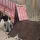 Venta de Guano Estabilizado