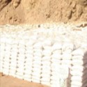 Biofertilizantes