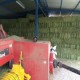 Alfalfa en fardos