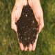 venta de compost organico Granel