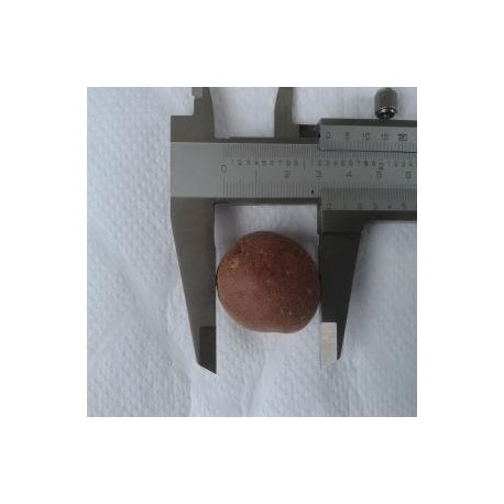 Venta de minituberculos papa