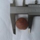 Venta de minituberculos papa