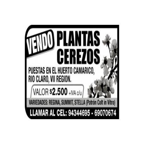 Ceresos in vitro