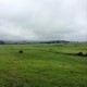 Campo en Venta, 300 Hás para Almendros y Viñedos