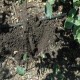 Retardador de Riego, retenedor de Humedad FLOBOND