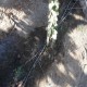 Retardador de Riego, retenedor de Humedad FLOBOND