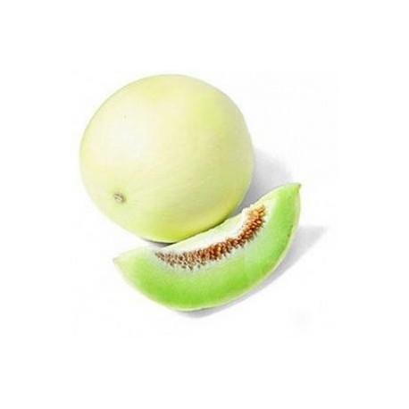 SEMILAS MELON TUNA SOLAR DEW