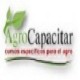 Cursos A Distancia y Asesoramiento