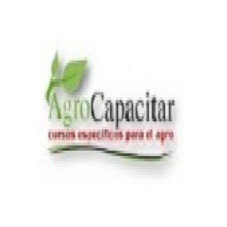 Cursos A Distancia y Asesoramiento