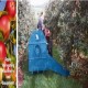 SOPLADOR DE MANZANAS MECANICO SFM