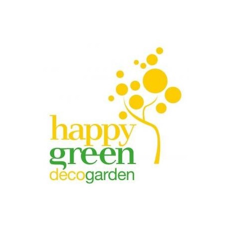 MAYORISTA HAPPY GREEN