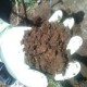 PLANTAS TRATAMIENTO AGUAS SERVIDAS Y RILES