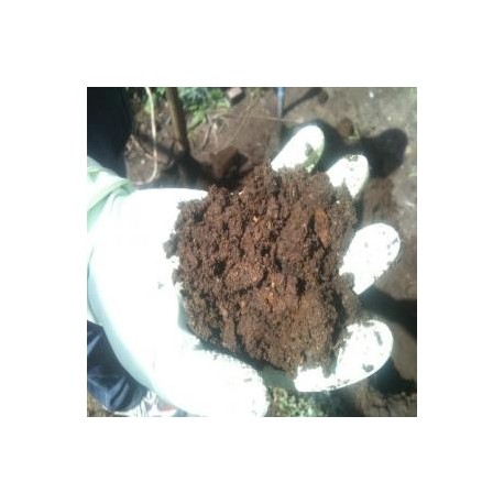 PLANTAS TRATAMIENTO AGUAS SERVIDAS Y RILES
