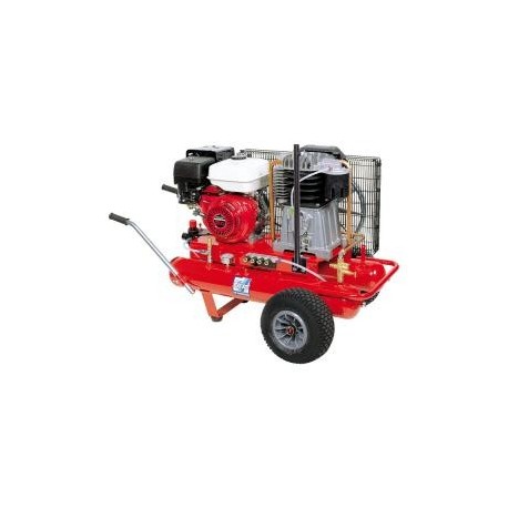 Compresor Fiac AGRI 90/670