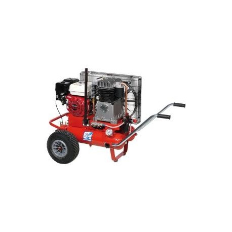 Compresor Fiac AGRI 65