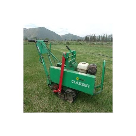 Cosechadora de pasto alfombra Classen Sunbelt
