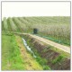 Turbina vertical para proteccion de heladas SHUR FARMS