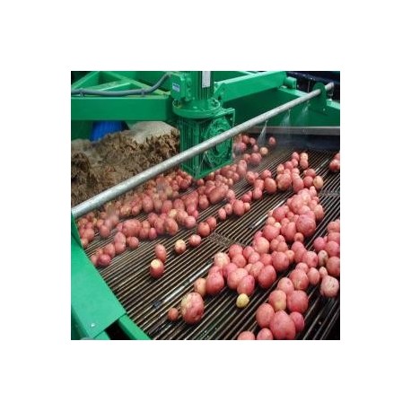 Lavadora de papas y zanahorias HAITH
