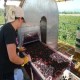 Cosechadora de arandanos, frambuesas y moras  para Exportadoras LITTAU OR-XL