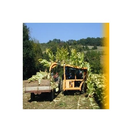 Cosechadora de tabaco KIRPY